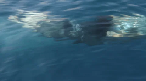 Underwater Jet Ski Vídeo Stock 38939066