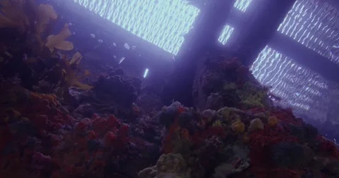Underwater Jetty, Low Angle Shot ClipA018 C054 1114SI 001 Video stock 279044971