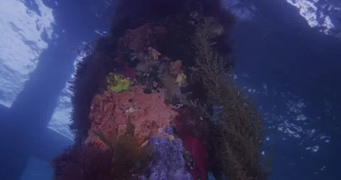 Underwater Jetty Pylon, Low Angle Shot ClipA013 C042 1020N6 001 Stock Footage 278662126