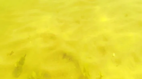 Underwater lake bottom Stock Footage 53542893