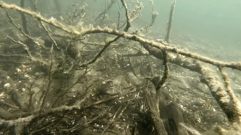 Underwater lake bottom Stock Footage 116307857