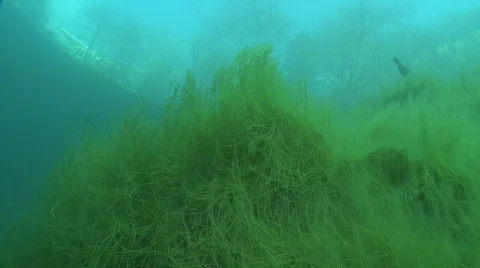 Underwater lake Video stock 609027