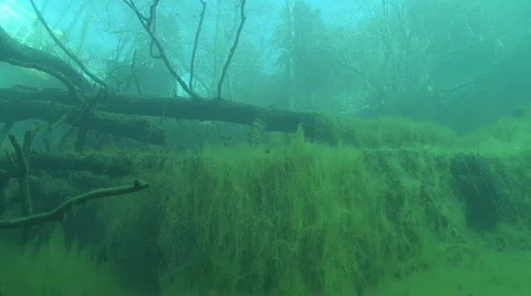 Underwater lake Video stock 609028