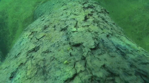Underwater lake Video stock 609055