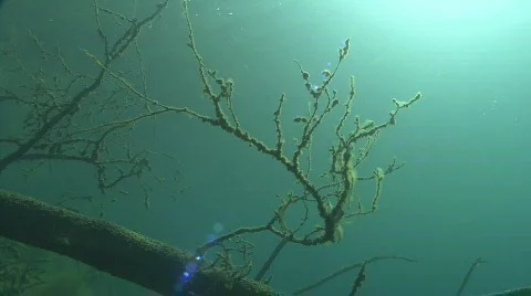 Underwater lake Video stock 609088