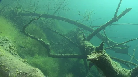 Underwater lake Stock Footage 609092