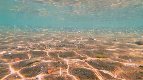 Underwater in the lake Stock Footage 137241103