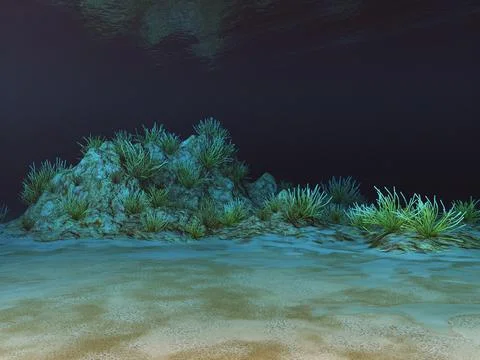 Underwater landscape with corals Stock Illustration