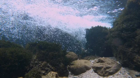 Underwater landscape Stock Footage 118064571