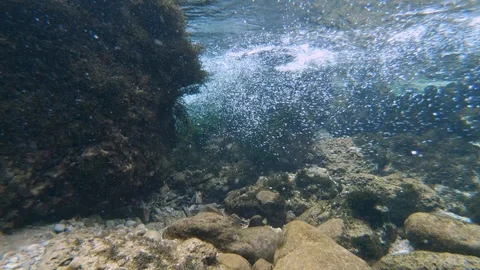 Underwater landscape Stock Footage 118064606