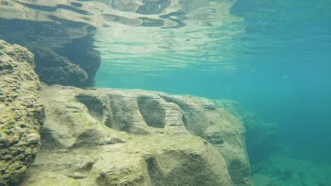 Underwater landscape Stock Footage 118064614