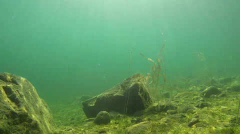 Underwater landscape with gleaming sunrays Stock Footage 44225033