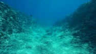 Underwater Landscape Ocean Floor Eroded Pacific Stock Footage