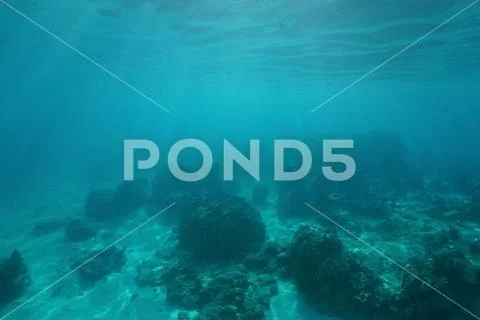 Underwater landscape ocean floor Pacific ocean Stock Photos