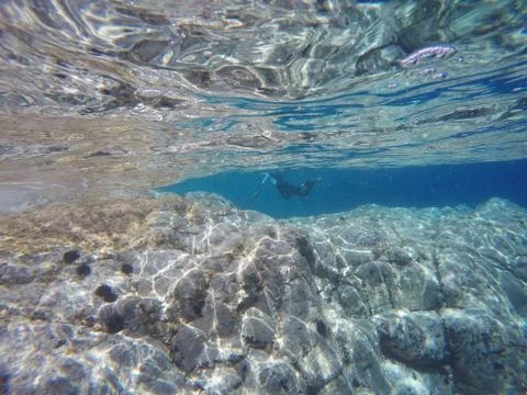 Underwater landscape Stock Photos