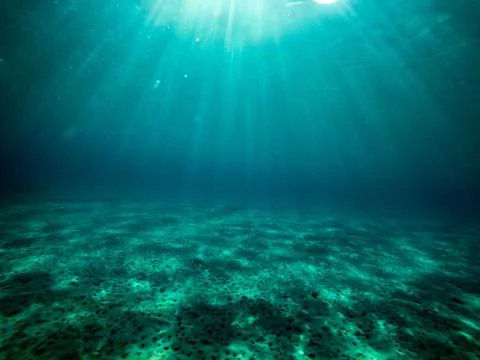 Underwater landscape Foto stock