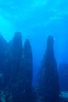 Underwater Landscape Stock Photos
