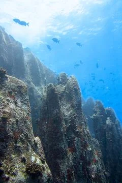 Underwater Landscape Foto stock