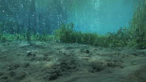 Underwater landscape with plants, sandy bottom bubbling with bubbles ascending Stock Footage 227190109