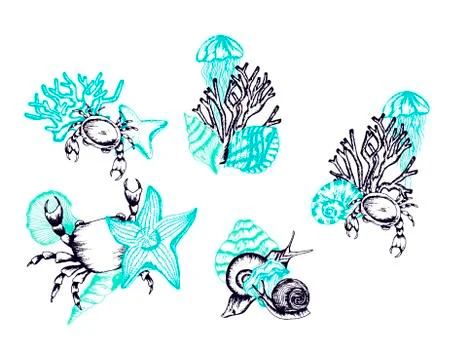 Underwater Life Hand Drawn Vector Set. Vintage Illustrations Stock Illustration