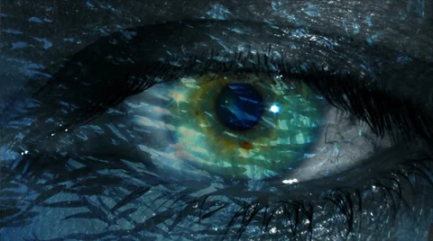 Underwater life reflected in human eye - school of fish in eye Stock Footage 31751591