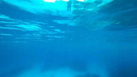 Underwater light filters down through blue water Stock Footage 81556961