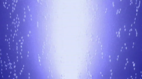 Underwater Light Stock Footage 318722