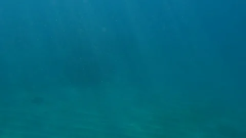 Underwater light rays in the ocean Stock Footage 100993391