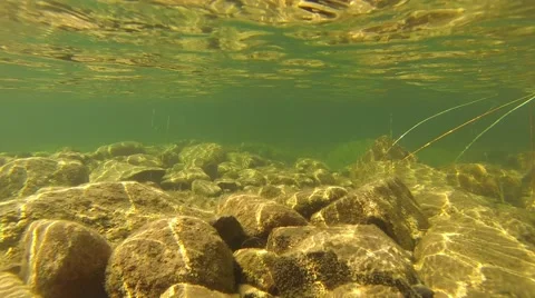 Underwater Light Reflection Stockbeeldmateriaal 46040617