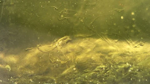 Underwater Liquid Gel Stock Footage 127575845