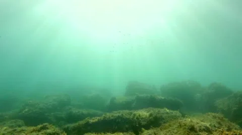 Underwater live at the bottom of the sea Stock Footage 44778757