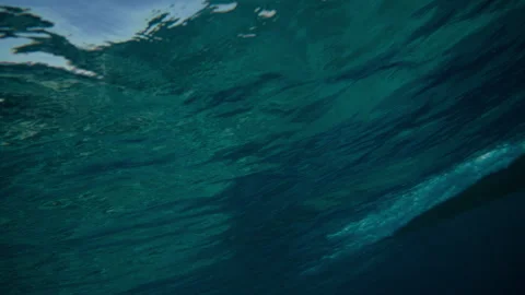 Underwater looking up rippling surface longboard cutting across wave Stock Footage 333445417