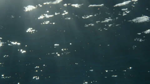 Underwater looking up at sun beams Stock Footage 169021026
