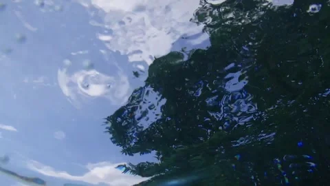 Underwater looking up at tree with waves, bubbles, and ripples floating Stock Footage 246391547