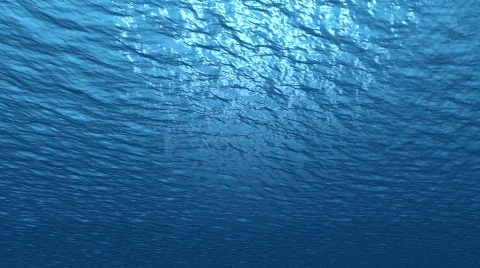 Underwater LookUp B Vidéo 690795