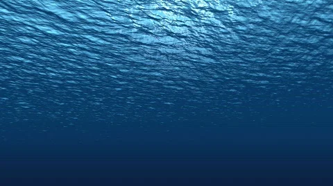 Underwater LookUp C Vidéo 690834