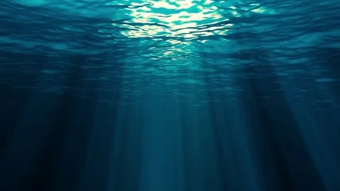Underwater Loop 4k Stock Footage 83420125