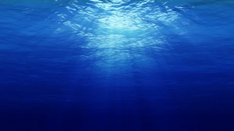 Underwater Loop 4K Stock Footage