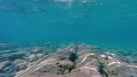 Underwater loop of beautiful turquoise sea bed Stock Footage 228621175