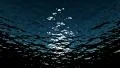 Underwater Loop LM02 Sunlight 4k or 4k+ Resolution