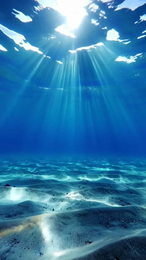 Underwater loop of sea with sun rays and blue sky Stock Footage 316314241