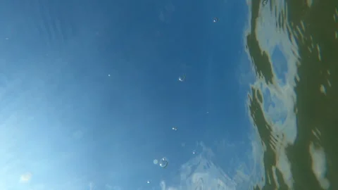 Underwater low angle view, horizontal video Video stock 137599662