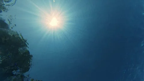 Underwater Low Angle View of Sun Rays Shining Through Blue Water Stock-Footage 342020289