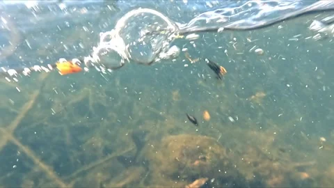 Underwater macro footage of river bottom with decayed branches leaves and p.. Stock Footage 334036938