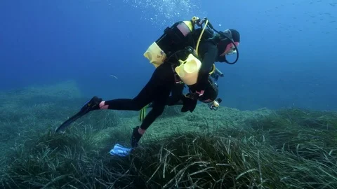 Underwater, Marine biologists working on Posidonia, Side wide shot travelling, 2 Stock Footage