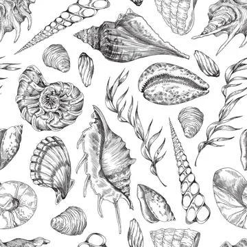 Underwater marine seamless pattern with shells and seaweed, monochrome sketch Stockillustratie