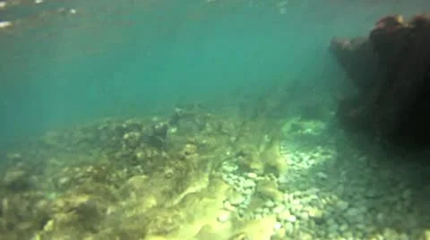 Underwater mediterranean beach Stock Footage 22026005