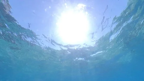 Underwater mediterranean view pano Stock Footage 112606505