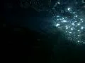 Underwater Moonlight Ocean HS04 Slow Motion 240fps Footage