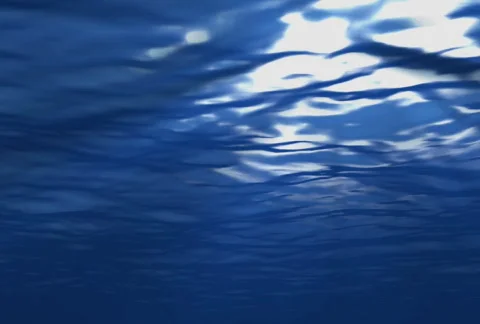Underwater Motion 2 Video stock 104483